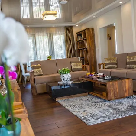 别墅 玫瑰别墅 *