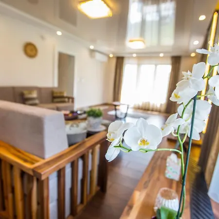 玫瑰别墅 别墅 塞拉耶佛